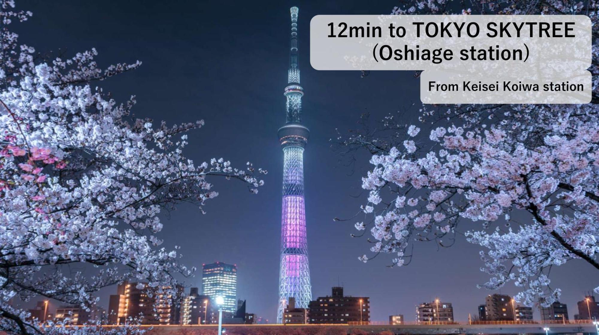 Asahistay -Koiwa, Free Parking O, Whole Family House, Japanese Garden Taste Tokyo Exterior photo